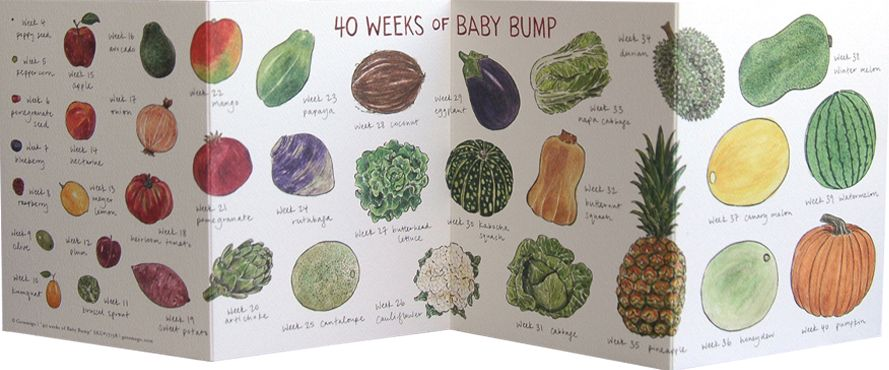 Baby Bump Accordian Greeting Card - Image 3