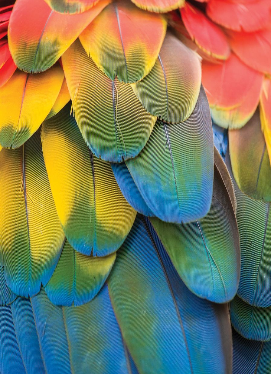 52 Lists Planner - Image 11