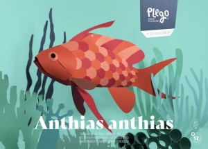 Swallow Sea Perch Fish - 3D Paper Figure - DIY Craft Kit