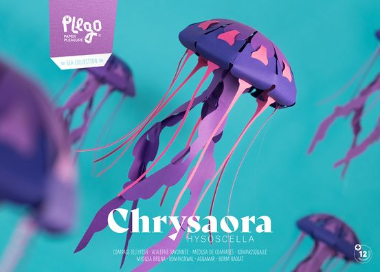 Compass Jellyfish - 3D Paper Figure - DIY Craft Kit