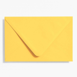 Curry A9 Envelopes