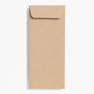 Paper Bag #10 Open End Envelopes