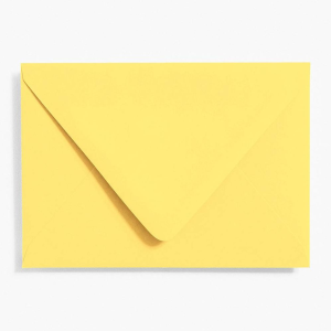 Sunshine 4 Bar Envelopes