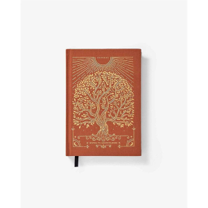 Intelligent Change Notes to Mindfulness Sunset