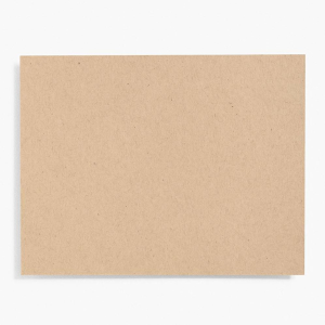 Paper Bag A2 Note Cards