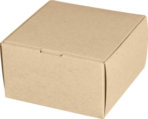 Classic Square Favor Box - Paper Bag