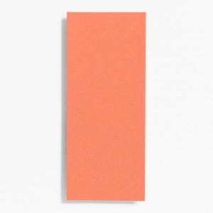 #10 Papaya Note Cards
