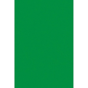 Kelly Green Tissue Paper