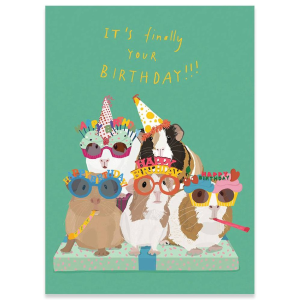 Guinea Pig Party Birthday Card