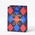 Argyle Happy Father's Day Small Gift Bag