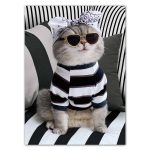 Cat in Stripes Birthday Card