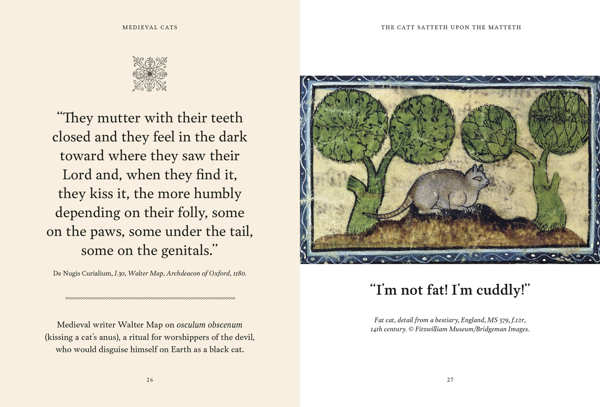 Medieval Cats: Claws. Paws. and Kitties of Yore - Image 2