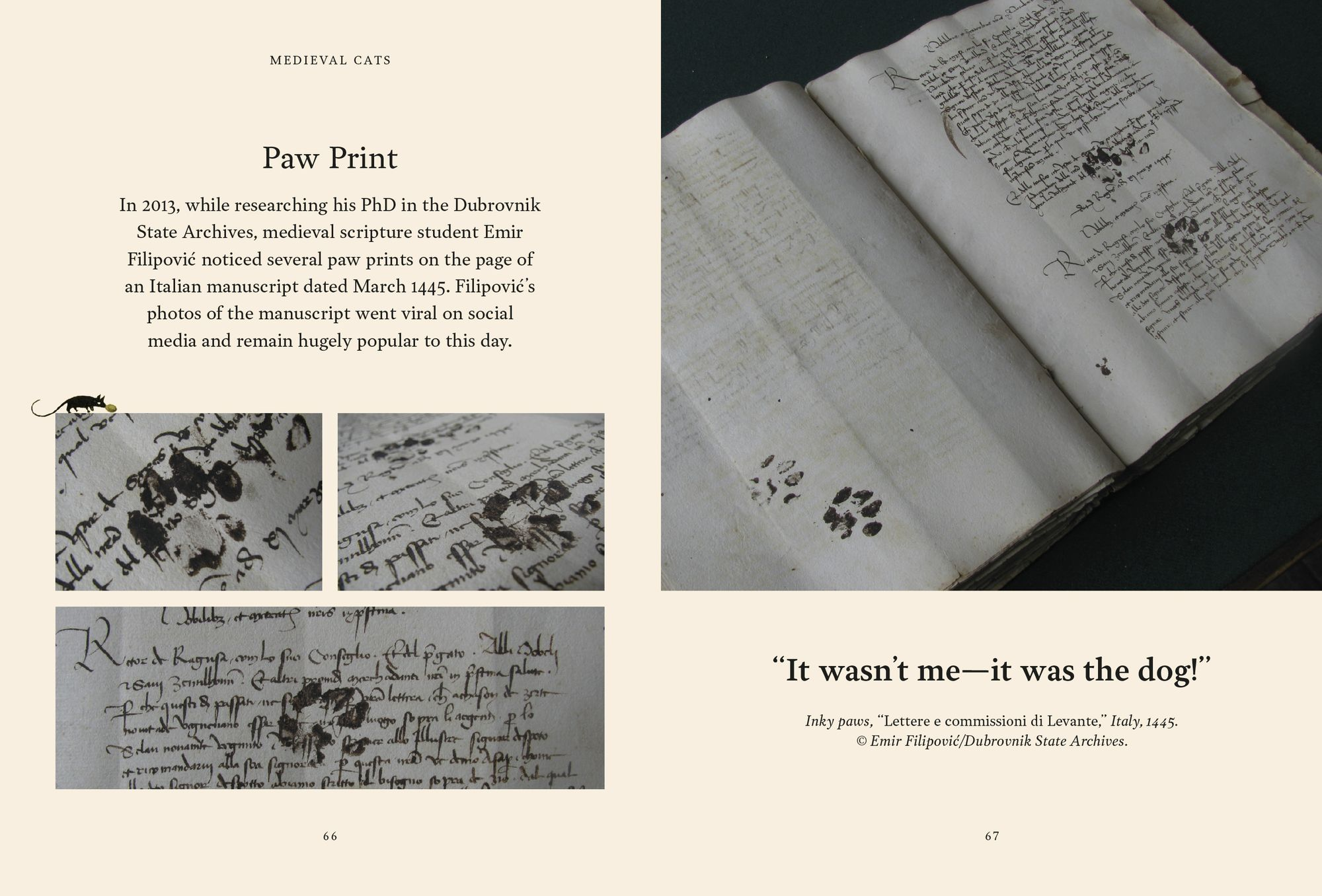 Medieval Cats: Claws. Paws. and Kitties of Yore - Image 5