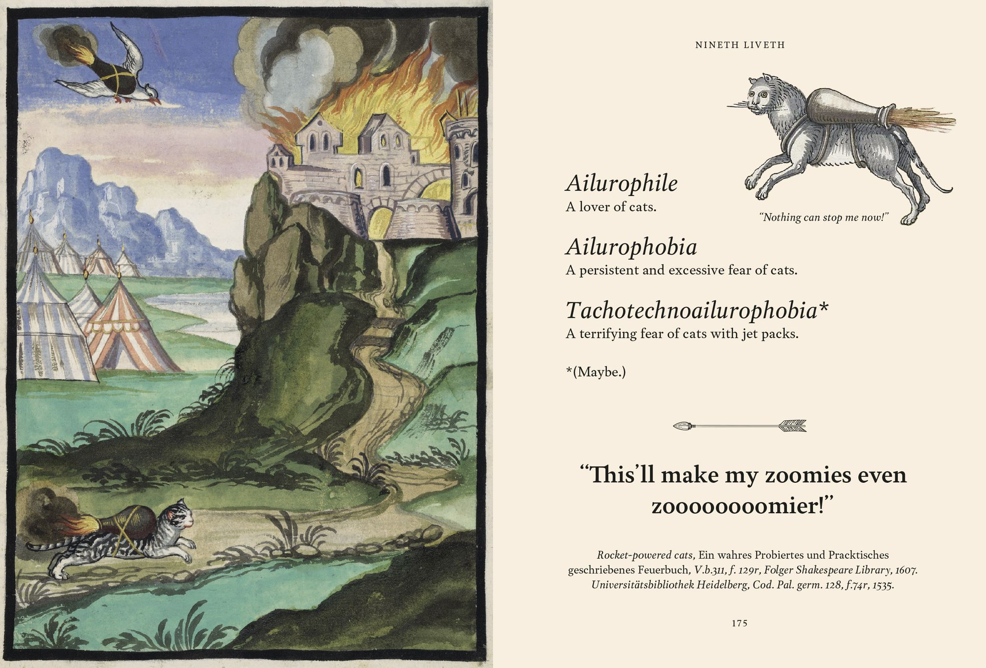 Medieval Cats: Claws. Paws. and Kitties of Yore - Image 6