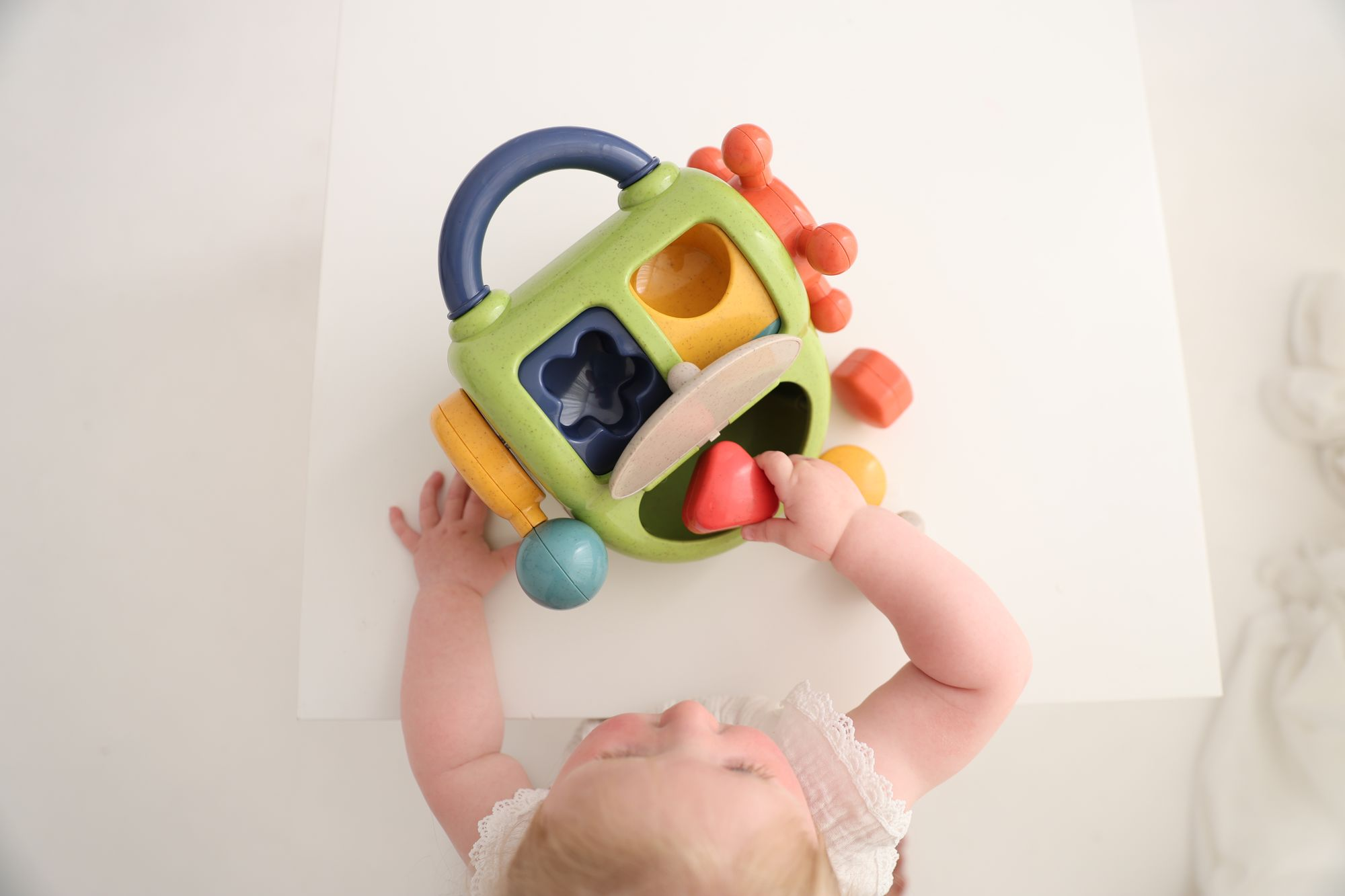 Bio Activity Shape Sorter - Image 4