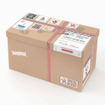 XL Santa Mail Gift Box