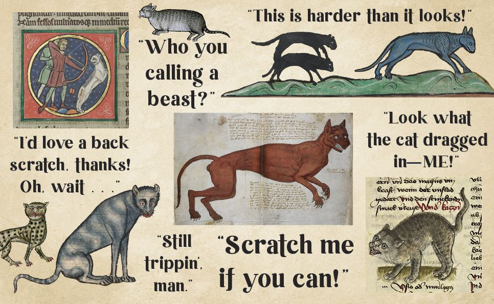 Medieval Cats: Claws. Paws. and Kitties of Yore - Image 8