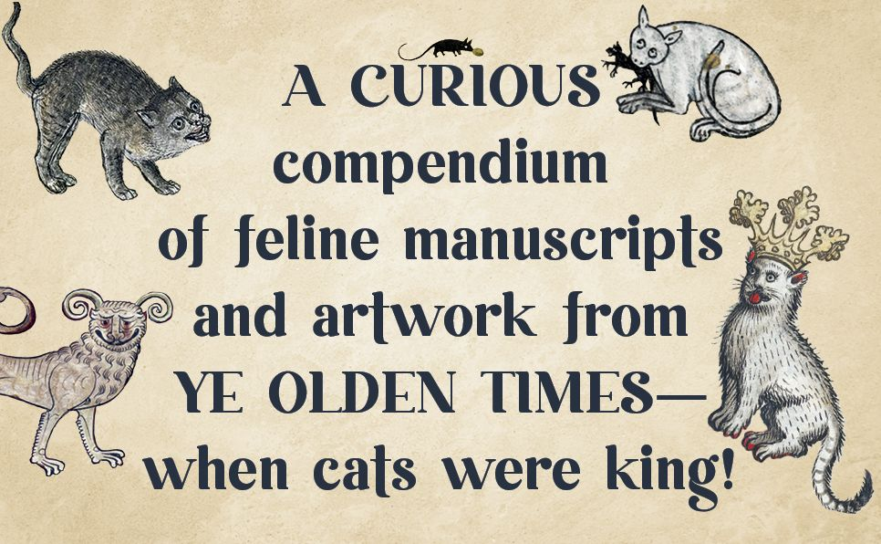 Medieval Cats: Claws. Paws. and Kitties of Yore - Image 7