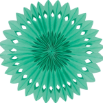 Detailed fan. 30cm. Mint