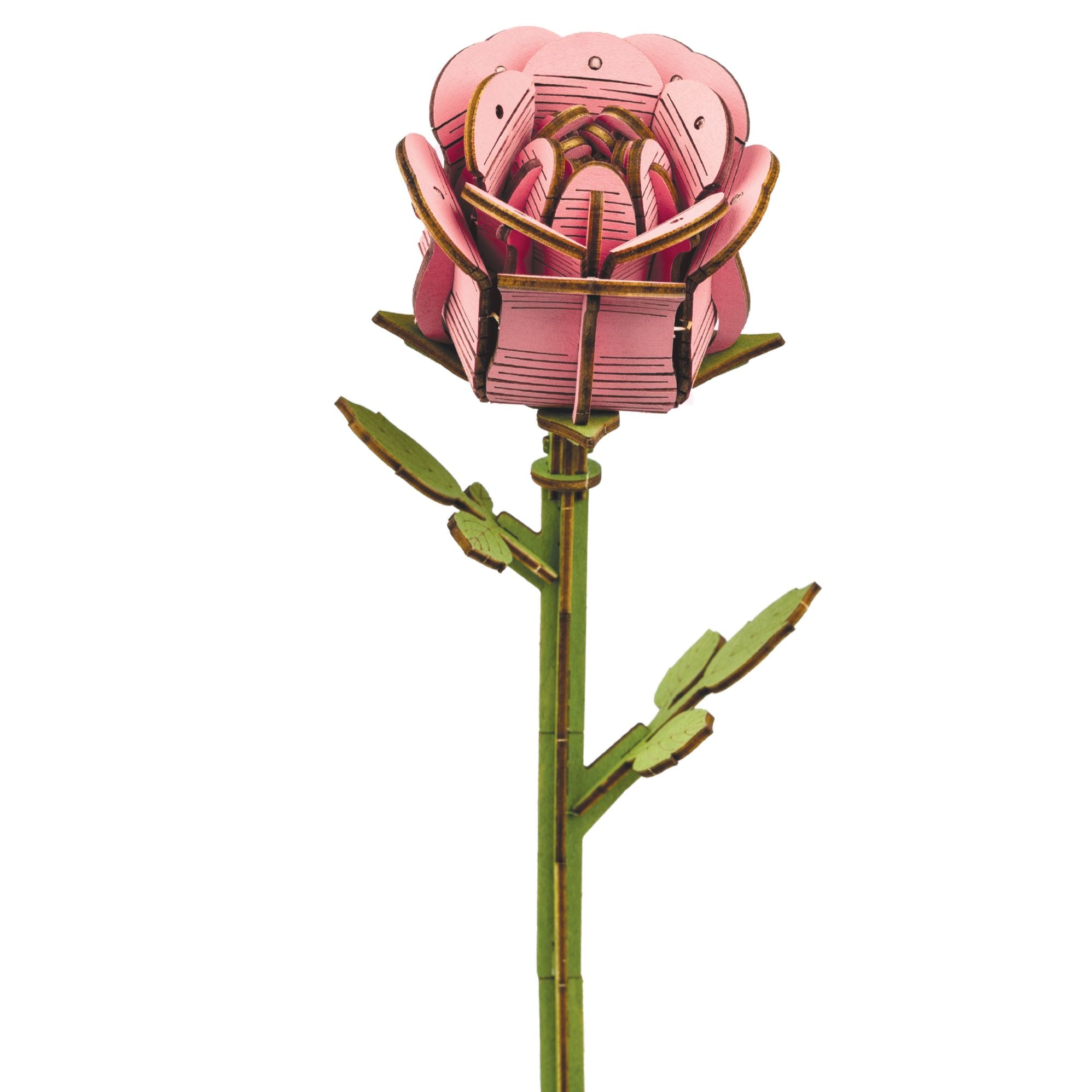 Bloomscapes Mini Rose - Image 3