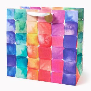Watercolor Palette Large Gift Bag