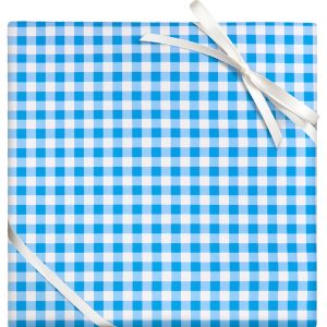 Blue Gingham Flat Wrap