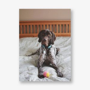 Full-Page Square Double-Sided Photo Card