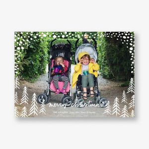 Pollenpine Snow Horizontal Christmas Photo Card