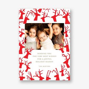 Six-Point Buck Perspective Photo Card