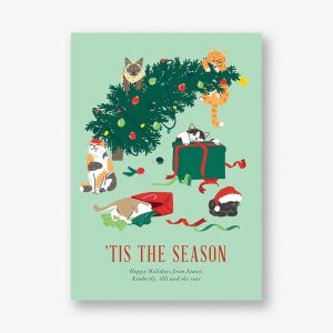 Cats in Trouble Holiday Card