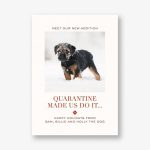 Quarantine Made Us Do It Photo Card