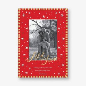 Snow Wonderful Holiday Photo Card