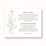 Fine Dandelion Information Card