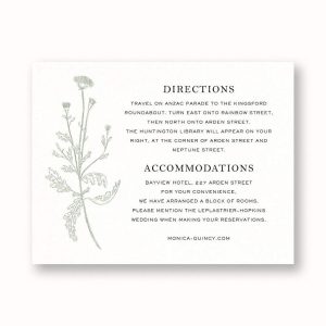Fine Dandelion Information Card