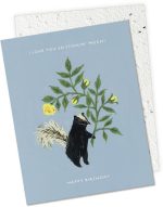 Stinker Birthday Card