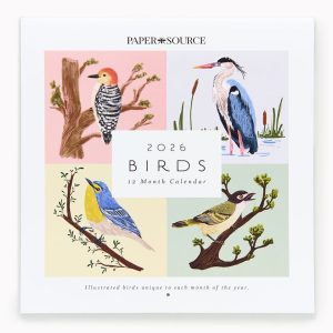 2026 Paper Source Birds Calendar