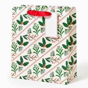 Botanical Stripes Medium Gift bag